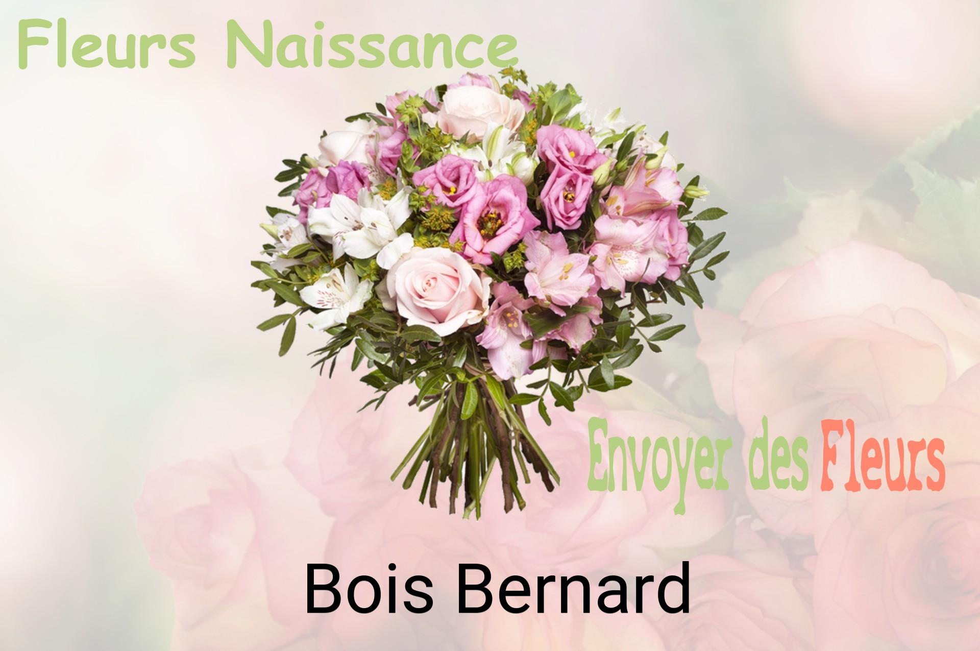 Bouquet de fleurs de naissance livré à Bois-Bernard